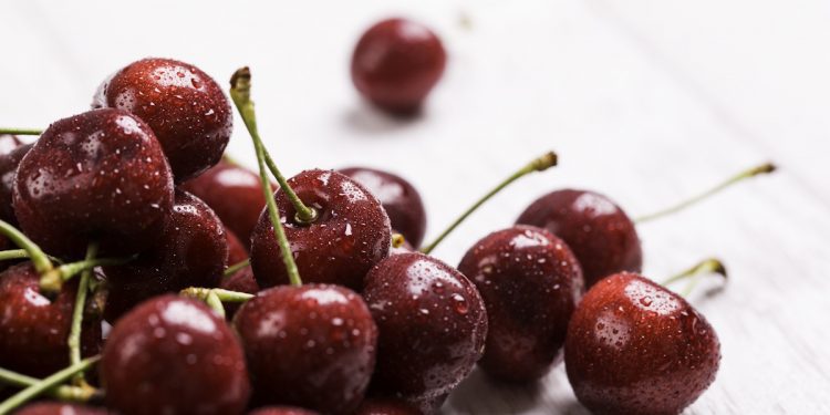 Estudio de ProChile: Cerezas chilenas logran récord de envíos durante enero de 2024, con montos por US$1.555 millones