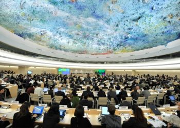 Operación contra ley ECMPO y ataques a comunidades indígenas serán abordados por Comité de Derechos Humanos de Naciones Unidas