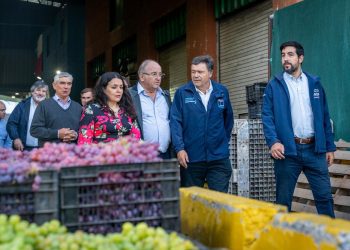 Agricultura familiar logró récord de ventas al Programa de Alimentación Escolar de Junaeb en 2023
