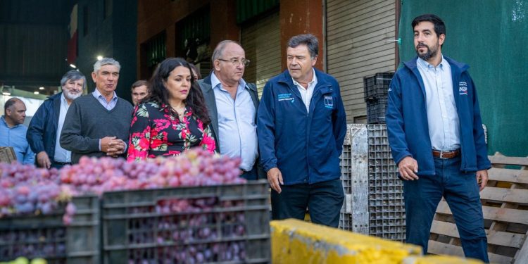 Agricultura familiar logró récord de ventas al Programa de Alimentación Escolar de Junaeb en 2023