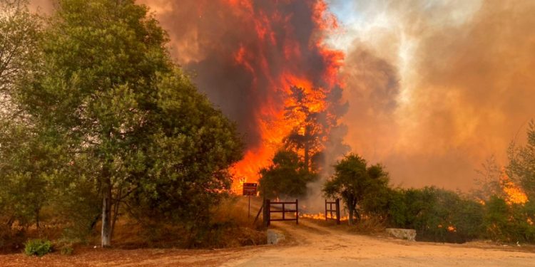Incendio Forestal en Valparaíso Desencadena Alerta Roja y Cortes en Ruta 68: Más de 500 Hectáreas Afectadas