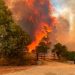 Incendio Forestal en Valparaíso Desencadena Alerta Roja y Cortes en Ruta 68: Más de 500 Hectáreas Afectadas