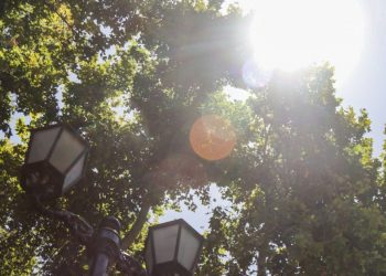 Alerta Agrometeorológica: advierten altas temperaturas en Valparaíso para este domingo y lunes