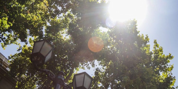 Alerta Agrometeorológica: advierten altas temperaturas en Valparaíso para este domingo y lunes
