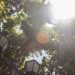 Alerta Agrometeorológica: advierten altas temperaturas en Valparaíso para este domingo y lunes