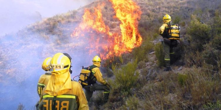 Fuerza de combate de CMPC trabajó este sábado en 11 incendios con 295 brigadistas y 13 aeronaves