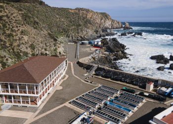 Analizan impacto de la surgencia costera sobre la abundancia de micronutrientes en los tejidos de organismos marinos