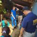 PDI detiene en Villa Alemana a mujer por maltrato animal