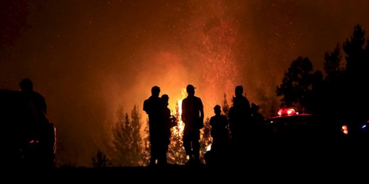 Derechos de trabajadores/as por incendio en las regiones de Valparaíso, O’Higgins y Maule