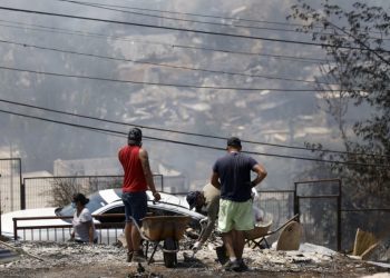 [Opinión] Patricio Winckler: El día después, reflexiones sobre los incendios de Viña del Mar y Quilpué