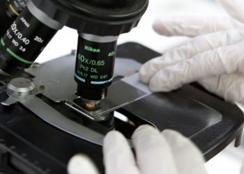 [Opinión] Silvio Becerra: La importancia de la ética en la investigación biomédica y su experimentación en seres humanos