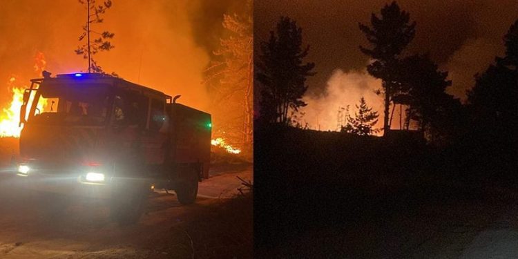 Incendio Forestal Desata Emergencia en Laguna Verde