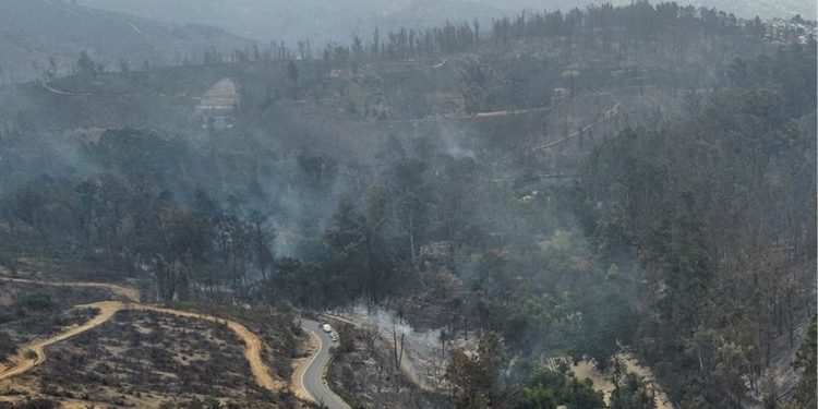 Cuerpo de Bomberos de Viña del Mar confirma que la emergencia estaría «parcialmente» controlada