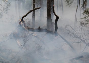 Incendios forestales: Especialistas explican los riesgos a los que se exponen las personas después de un siniestro y hacen llamado a utilizar elementos de protección personal