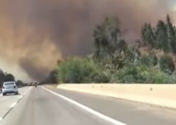 «Cuatro a cinco focos iniciales»: CONAF remarca intencionalidad en Incendio de Peñuelas