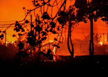 ONG World Vision entrega recomendaciones para proteger a los niños tras incendio en valparaíso