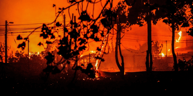 ONG World Vision entrega recomendaciones para proteger a los niños tras incendio en valparaíso