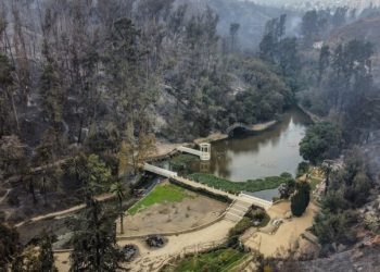 [Opinión] Carlos Terán: A propósito de la pérdida del Jardín Botánico
