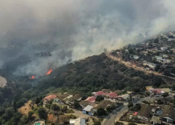 Ante la presencia de humo y altas temperaturas: ¿cómo cuidarse por la mala calidad del aire?