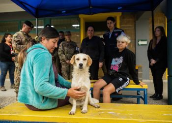 Subdere entrega recursos al municipio de Quilpué para realizar atención veterinaria a animales afectados por los incendios
