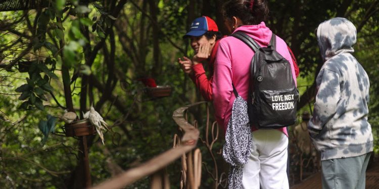 ​Parque Tricao abrió sus puertas de manera ​gratuita a los vecinos de Santo Domingo