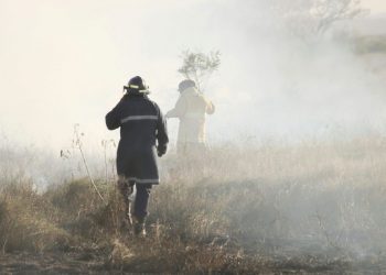 Recuperación de suelo tras incendio en Viña del Mar podría extenderse por 50 años
