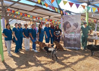 Santo Tomás Viña del Mar realizó operativo veterinario en Santuario Clafira de Limache