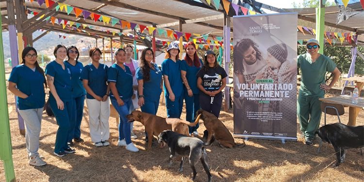 Santo Tomás Viña del Mar realizó operativo veterinario en Santuario Clafira de Limache