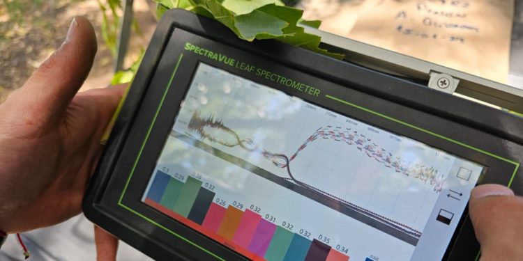 Innovación en el Valle del Aconcagua optimiza el recurso hídrico y fertilizantes