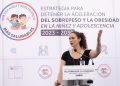Minsal presentó Estrategia Nacional para detener la aceleración del sobrepeso y obesidad en la niñez y adolescencia