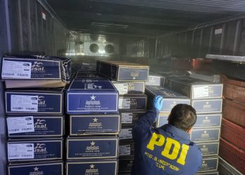 PDI recupera millonaria carga de salmón robado que sería comercializada en Semana Santa