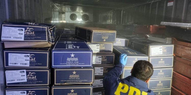 PDI recupera millonaria carga de salmón robado que sería comercializada en Semana Santa