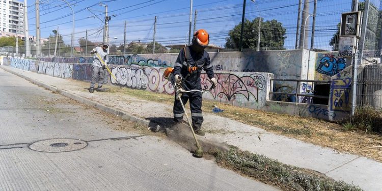 Programa de deshierbe 2023-2024 del Municipio Abierto de Quilpué alcanzó los 70 kilómetros de trabajo
