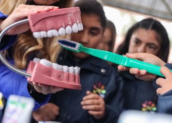 Afiche Salva tu Diente, creado por académica de la Facultad de Odontología  UV, estará presente en 800 colegios de la región