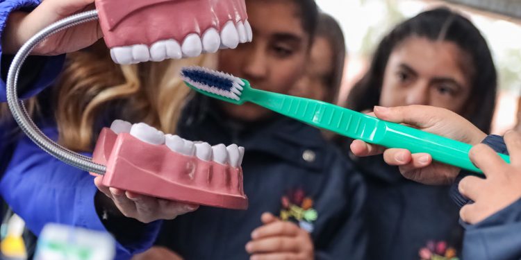 Afiche Salva tu Diente, creado por académica de la Facultad de Odontología  UV, estará presente en 800 colegios de la región