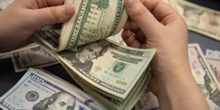 [Opinión] Carolina Erices: Volatilidad del dólar y perspectivas económicas en Chile