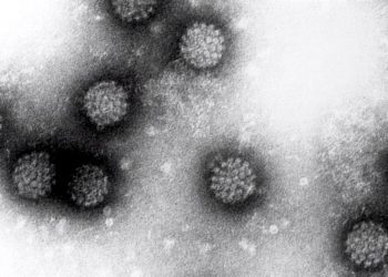 Bupa Lab lanza tecnología única en Chile y Latinoamérica para identificar el Virus del Papiloma Humano con examen de orina