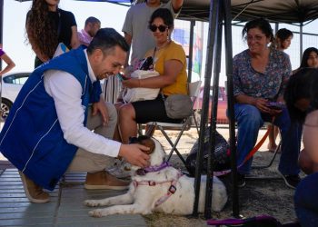 Juzgado de Garantía de Colina declara admisible querella por maltrato animal presentada por el Municipio de Lampa por matanza de perros en la comuna