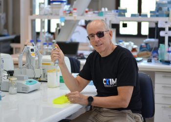 Hallazgo abre nuevas vías para comprender el funcionamiento del cerebro y enfrentar enfermedades neurológicas y neurodegenerativas