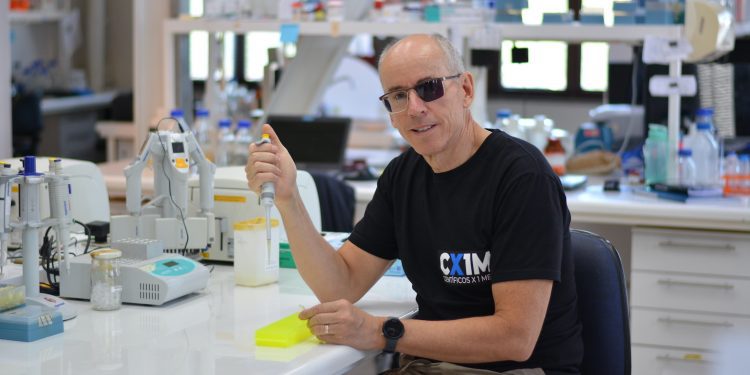 Hallazgo abre nuevas vías para comprender el funcionamiento del cerebro y enfrentar enfermedades neurológicas y neurodegenerativas