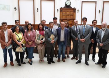 Gobernador Rodrigo Mundaca se reúne con Consejo de Rectores de Valparaíso para coordinar apoyo de universidades en el proceso de recuperación