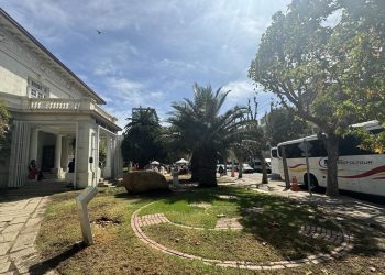 En marzo los Viernes de Cultura Científica de Museo Fonck se centrarán en los estudios de la complejidad social en primates