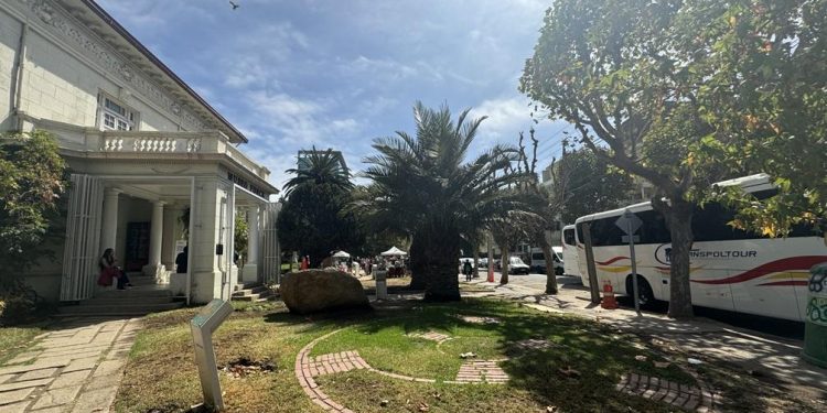 En marzo los Viernes de Cultura Científica de Museo Fonck se centrarán en los estudios de la complejidad social en primates