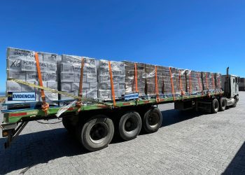 PDI detiene a sujeto que sustrajo carga avaluada en 80 millones desde puerto de San Antonio