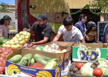 Diputado Cuello y Concejal López proponen remunerar a personal de ollas comunes
