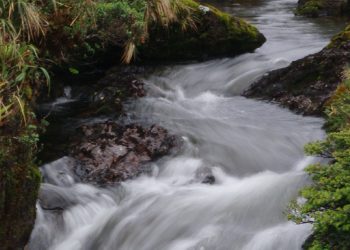 [Opinión] Nathalie Orellana: El Agua, un recurso crítico para nuestra sobrevivencia