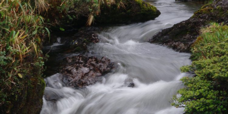 [Opinión] Nathalie Orellana: El Agua, un recurso crítico para nuestra sobrevivencia