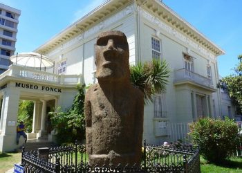 Museo Fonck invita a participar de taller gratuito para construir un títere de insecto volador