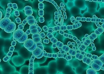 [Columna] Dr. Camilo García: ¿En qué consiste la enfermedad carnívora que pone en alerta a Japón?