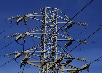 Grupo ambientalista recurre a la Justicia para detener proyecto de torres de alta tensión en Placilla